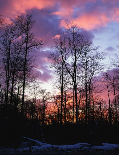 Winter Sunset, Great Swamp National Wildlife Refuge, NJ (MF).jpg